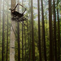 a tree stand in the middle of a forest with a ladder up to it's top