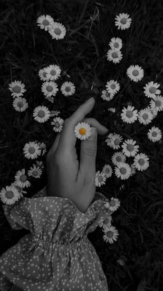 a person's hand reaching for a daisy in the middle of a flower field