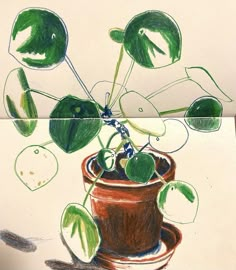 a drawing of a potted plant with green leaves