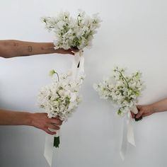 three hands holding bouquets of white flowers