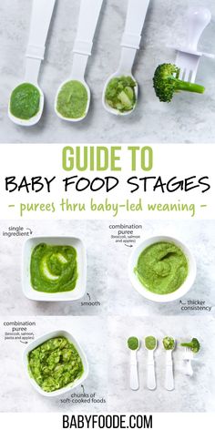 baby food stages in bowls and spoons with broccoli on the side, labeled guide to baby food stages