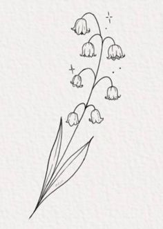 lily of the valley drawing on white paper