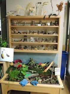 a shelf filled with lots of plants and dirt