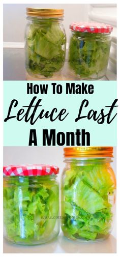 three jars filled with lettuce and the words how to make lettuce last a month