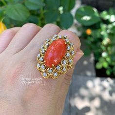 Absolutely stunning Italian made vintage coral ring! This ring has an elaborate fancy design with sparkly white diamonds and is set in 18k yellow gold. The coral setting sits high off the finger. Ring Size: 6 Total Weight: 16.7 grams Precious Metal: 18k solid gold Precious stones: -Coral Center Stone: 20mm x 11.7mm, 8.5 carats -White Round diamonds: 0.43 carats Hallmark: ITALY 18K Gold Ring Vintage, Fancy Design, Coral Ring, 18k Yellow Gold Ring, Yellow Gold Ring, Precious Metal, Finger Ring, Red Coral, Ring Vintage