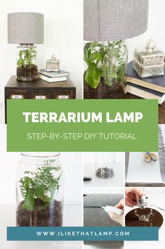 there is a lamp that has plants in it and the words terrarium lamp above it