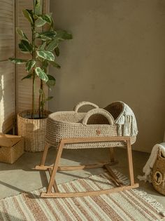 a wicker baby's pram in front of a potted plant and rug