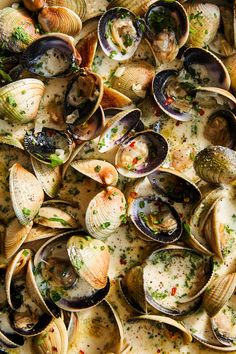 clams in white sauce with parsley on top