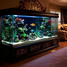 an aquarium is shown in the middle of a living room