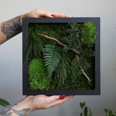 a person holding up a black frame with moss and ferns on it in front of a white wall