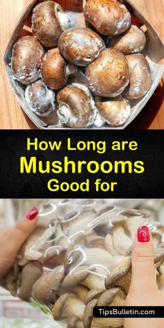 mushrooms in a bowl with text overlay how long are mushrooms good for?