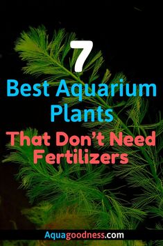 a plant with the words 7 best aquarium plants that don't need fertilizers