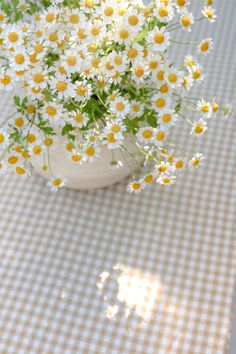 white and yellow flowers in a vase on a checkered tablecloth