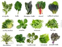 a bunch of different types of leafy vegetables