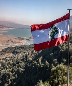 a flag flying on top of a lush green hillside next to a body of water