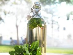 a bottle filled with green leaves sitting on top of a table