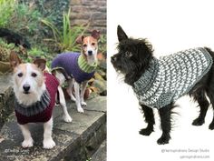 two dogs wearing sweaters standing next to each other