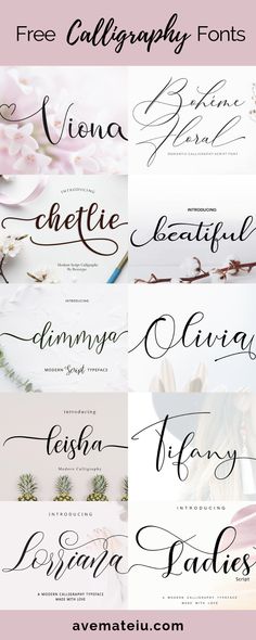 the different types of calligraphy that are used in this type of lettering, including curs