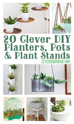 the top 20 clever diy planters, pots and plants