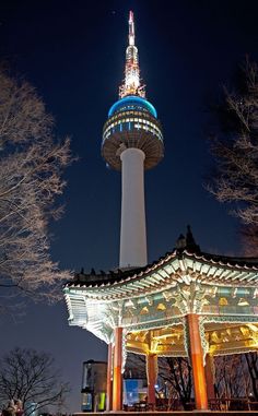 the tower is lit up at night time