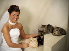 a woman in a wedding dress with two cats sitting on a ledge next to her