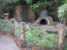 a fenced in area with trees and bushes surrounding it, including an old tree stump