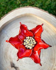 a red flower sitting on top of a white bowl filled with green leaves and seeds