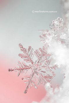 a snowflake is shown against a pink background