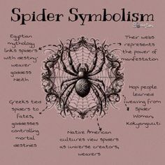 Spiders Symbolism, Spiders In Witchcraft, Animals And Their Symbolism, Spirit Animal Spider, Spider Symbolism Meaning, Omens Signs Symbols, Spider Spirit Animal, Spider Witchcraft, Spider Spiritual Meaning