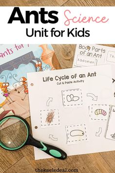 Kindergarten Ants Activities, Ant Science Experiment, Ants Projects For Preschool, Ants Go Marching Activities, Preschool Ant Craft, Ant Preschool Activities, Couple Worksheets, Ant Crafts For Kids, Preschool Ant