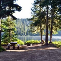 there is a picnic table in the middle of the woods next to the water and trees