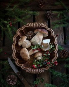 mushrooms in a wooden bowl with holly and pine cones