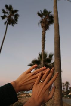 two hands reaching out towards each other with palm trees in the background