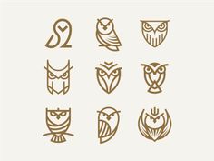 the different types of owls are shown in this image