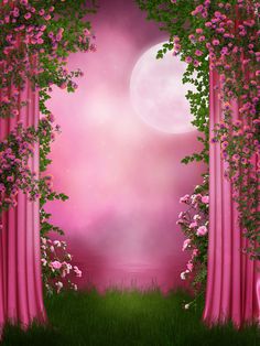 an open window with pink curtains and flowers on the outside, in front of a full moon