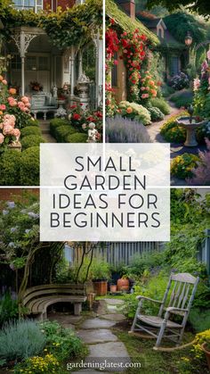 small garden ideas for beginners