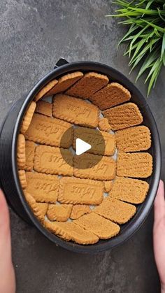 a person holding a pan filled with cookies on top of a cement floor next to a plant