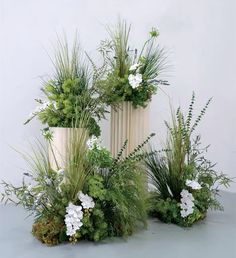 three white vases filled with different types of plants