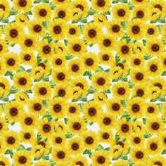 yellow sunflowers with green leaves on a white background seamless wallpaper pattern