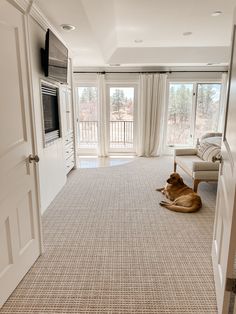 a dog laying on the floor in front of a window with curtains and a flat screen tv