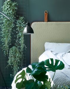 a bedroom with green walls and plants on the headboard, along with a bed