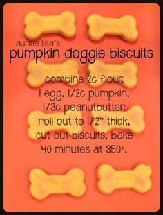 four dog biscuits with the words pumpkin doggie biscuits written in white on an orange background