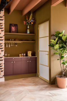 a potted plant sitting on top of a wooden floor next to a kitchen counter