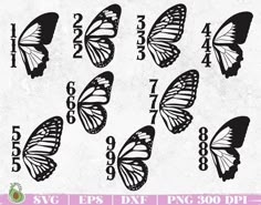 butterflies with numbers on them are shown in black and white