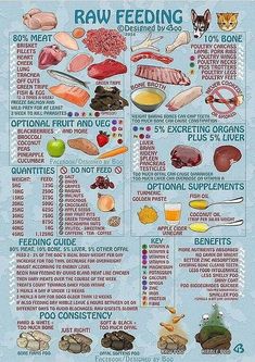 the raw food guide for dogs and cats is shown in this poster, with instructions on how to use it