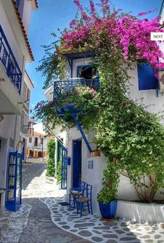 an alleyway with blue doors and flowers growing on the side of it, in front of a white building