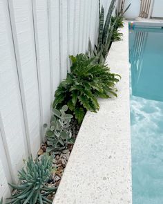 plants line the edge of a pool with rocks and gravel in front of it, next to a white fence