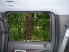 the rear view mirror of a vehicle with trees in the back and green grass on the side