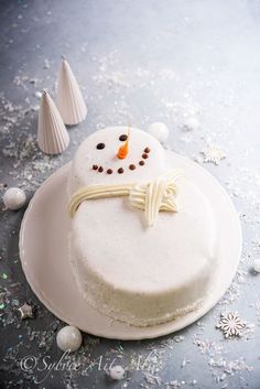 a frosted cake with a snowman decoration on top