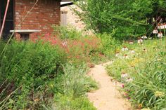 a garden with lots of flowers and plants growing on it's sides in front of a brick building